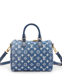 Louis Vuitton Blue Monogram Denim Jacquard Speedy 25