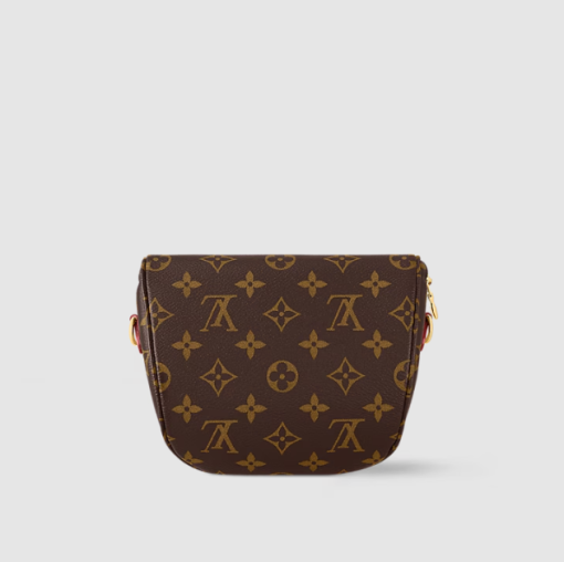 Louis Vuitton M82335 Mini Bumbag - Image 4