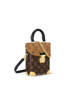 Louis Vuitton Camera Box Bag